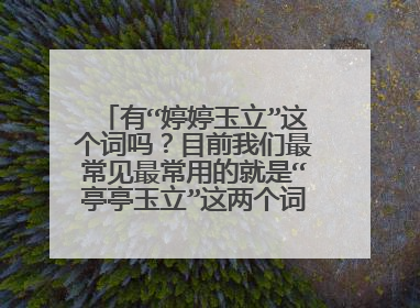 有“婷婷玉立”这个词吗?目前我们最常见最常用的就是“亭亭玉立”这两个词之间有什么关系