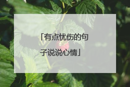 有点忧伤的句子说说心情