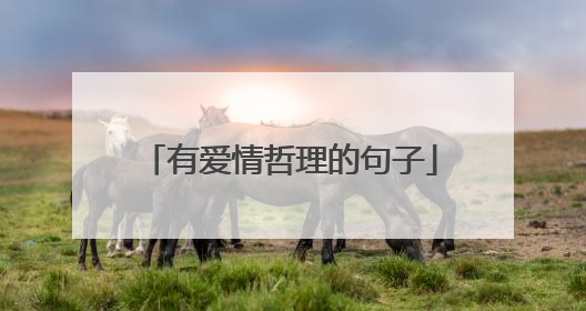 有爱情哲理的句子