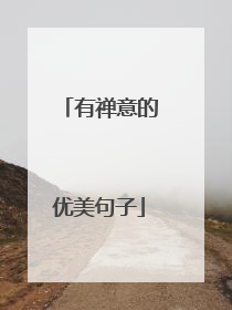 有禅意的优美句子