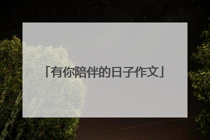 有你陪伴的日子作文