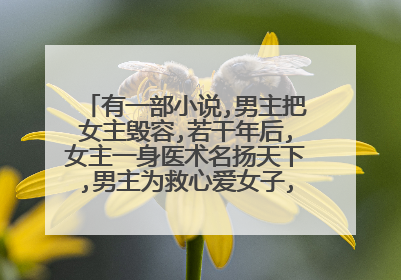 有一部小说,男主把女主毁容,若干年后,女主一身医术名扬天下,男主为救心爱女子,上门求药,求名字?