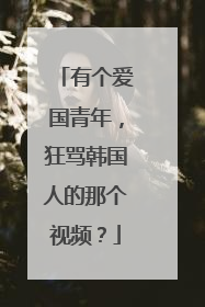 有个爱国青年,狂骂韩国人的那个视频?