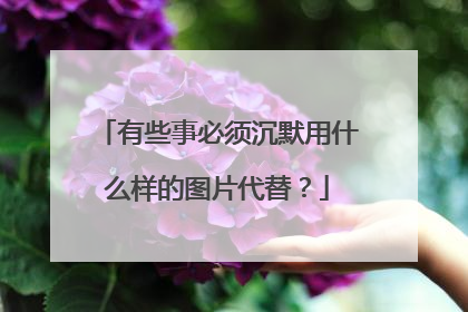 有些事必须沉默用什么样的图片代替?