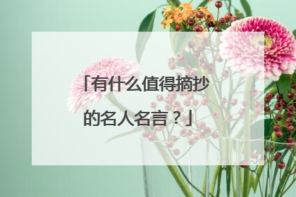 有什么值得摘抄的名人名言?