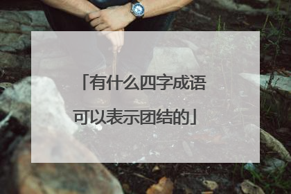 有什么四字成语可以表示团结的