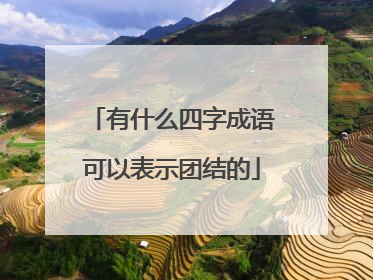 有什么四字成语可以表示团结的