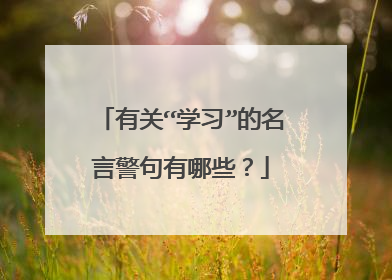 有关“学习”的名言警句有哪些?