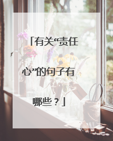 有关“责任心”的句子有哪些?