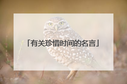 有关珍惜时间的名言