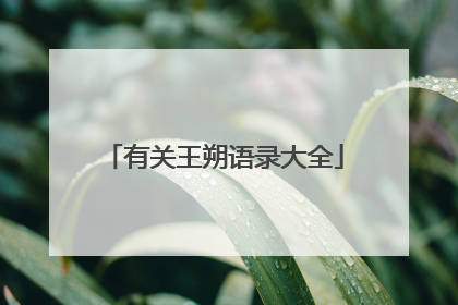 有关王朔语录大全