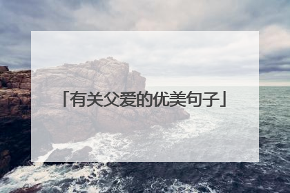 有关父爱的优美句子