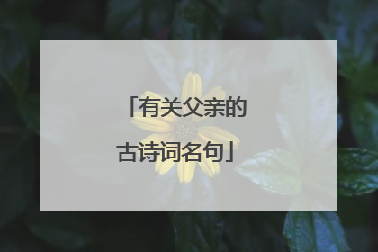 有关父亲的古诗词名句
