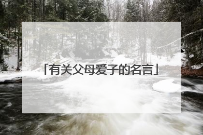有关父母爱子的名言