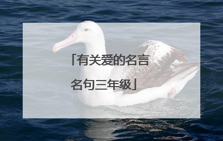 有关爱的名言名句三年级