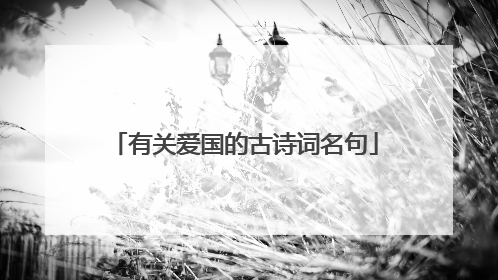 有关爱国的古诗词名句