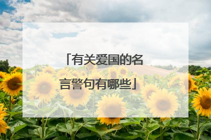 有关爱国的名言警句有哪些