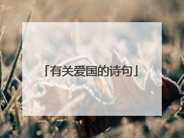 有关爱国的诗句