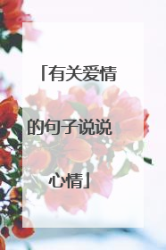 有关爱情的句子说说心情