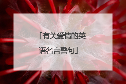 有关爱情的英语名言警句