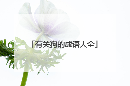 有关狗的成语大全