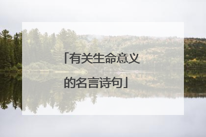 有关生命意义的名言诗句