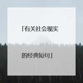 有关社会现实的经典短句