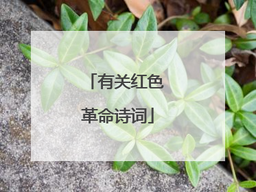 有关红色革命诗词