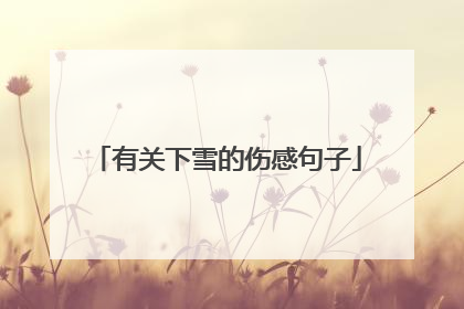 有关下雪的伤感句子
