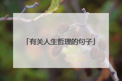 有关人生哲理的句子
