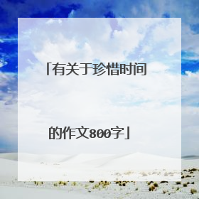 有关于珍惜时间的作文800字