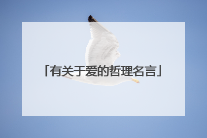 有关于爱的哲理名言