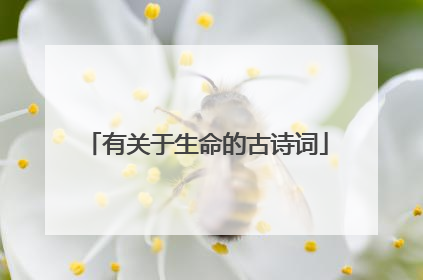 有关于生命的古诗词