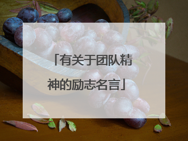 有关于团队精神的励志名言