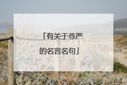 有关于尊严的名言名句