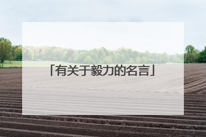 有关于毅力的名言