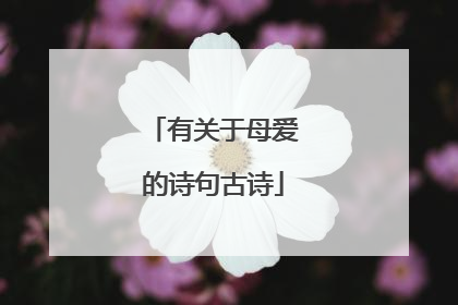 有关于母爱的诗句古诗