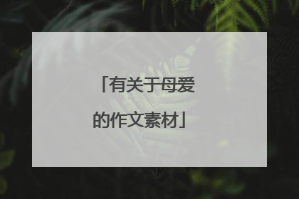 有关于母爱的作文素材