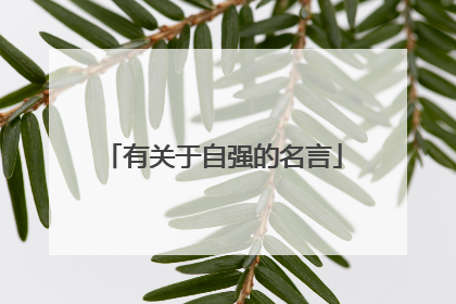 有关于自强的名言