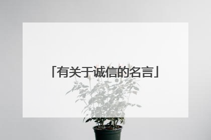 有关于诚信的名言