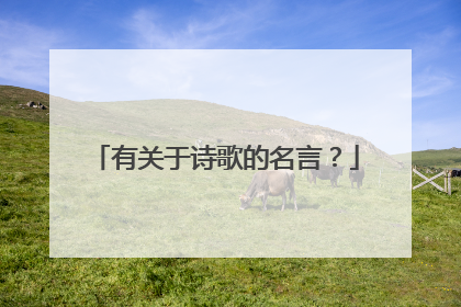 有关于诗歌的名言?