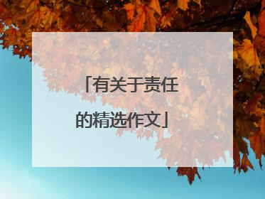 有关于责任的精选作文