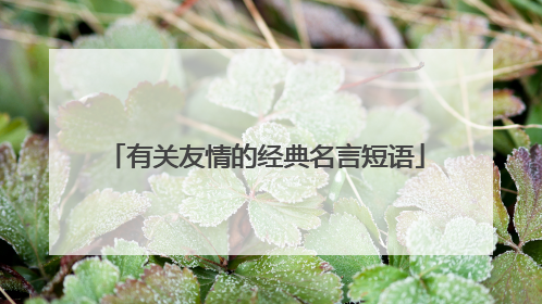 有关友情的经典名言短语