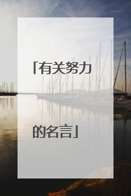 有关努力的名言