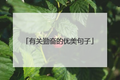 有关勤奋的优美句子