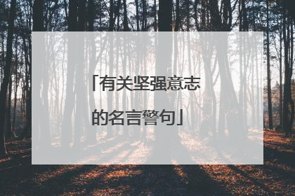 有关坚强意志的名言警句
