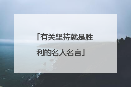 有关坚持就是胜利的名人名言