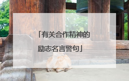 有关合作精神的励志名言警句