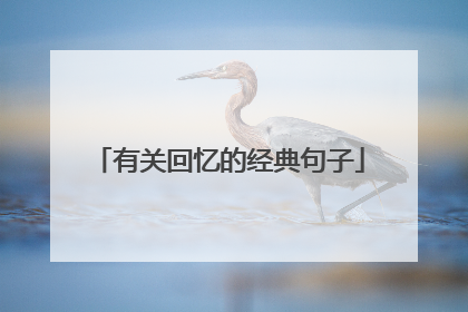 有关回忆的经典句子