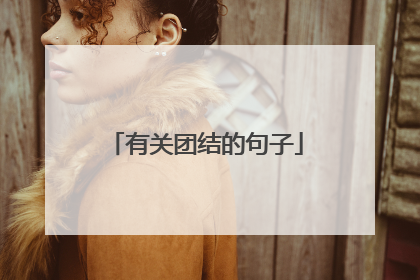 有关团结的句子
